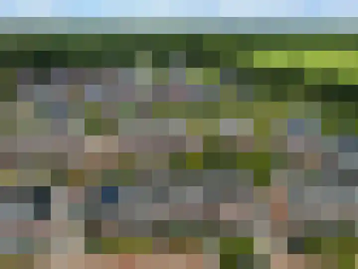 Wolfsmelkhof 19 Beilen thumbnail 35