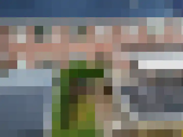Wolfsmelkhof 19 Beilen thumbnail 36