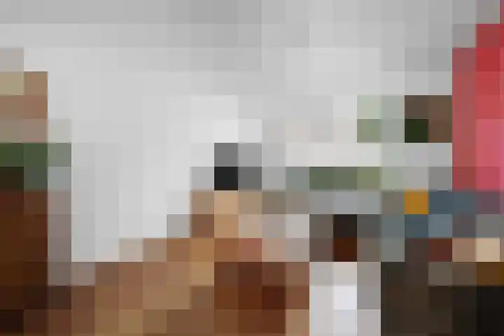 Wolfsmelkhof 19 Beilen thumbnail 5