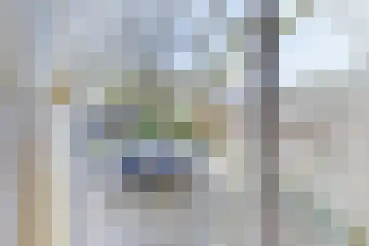 Wolfsmelkhof 30 Beilen thumbnail 11