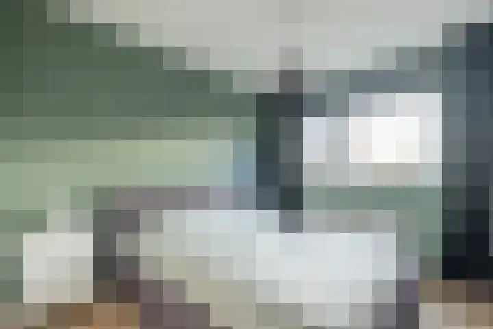 Wolfsmelkhof 30 Beilen thumbnail 15