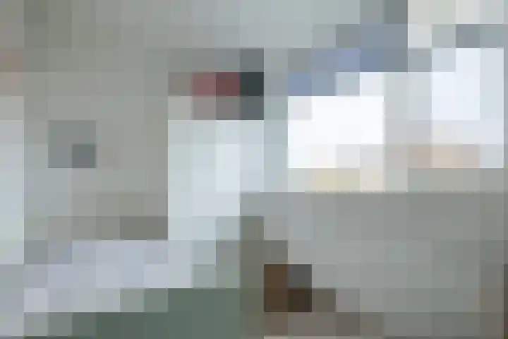 Wolfsmelkhof 30 Beilen thumbnail 17