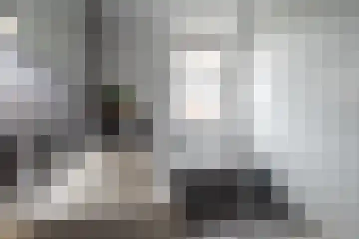 Wolfsmelkhof 30 Beilen thumbnail 18