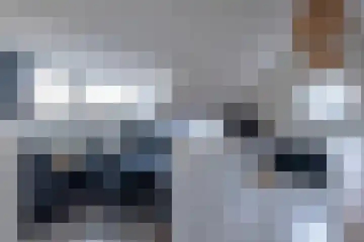 Wolfsmelkhof 30 Beilen thumbnail 21