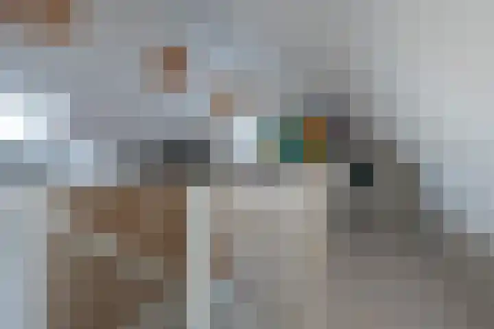 Wolfsmelkhof 30 Beilen thumbnail 22