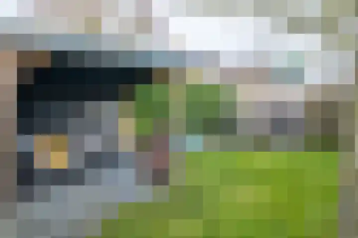 Wolfsmelkhof 30 Beilen thumbnail 25