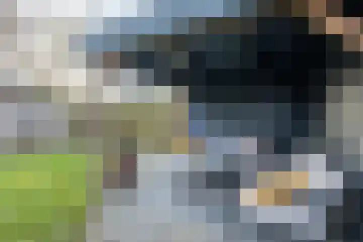 Wolfsmelkhof 30 Beilen thumbnail 26