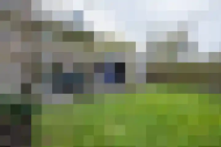 Wolfsmelkhof 30 Beilen thumbnail 27