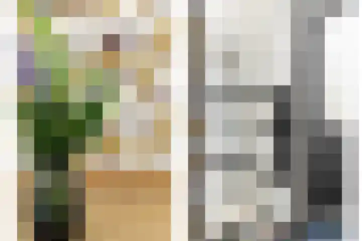 Wolfspoot 24 Alblasserdam thumbnail 10