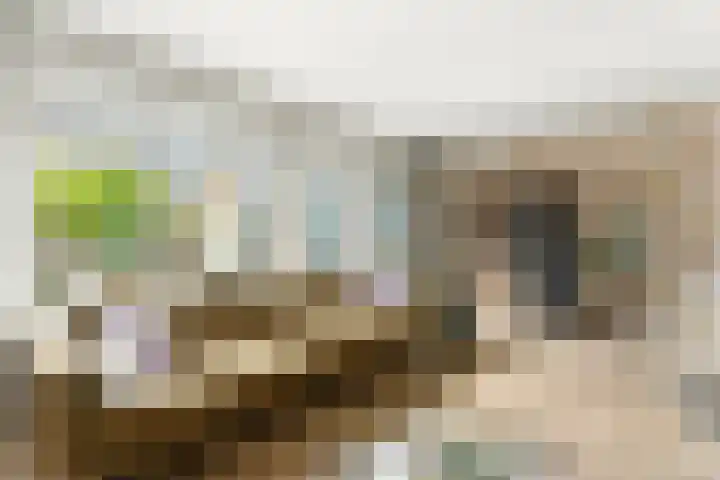 Wolfspoot 24 Alblasserdam thumbnail 11