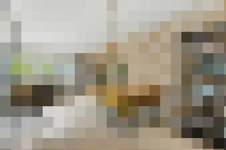 Wolfspoot 24 Alblasserdam thumbnail 13