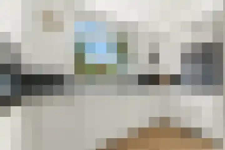 Wolfspoot 24 Alblasserdam thumbnail 19