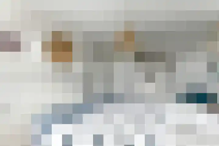 Wolfspoot 24 Alblasserdam thumbnail 24