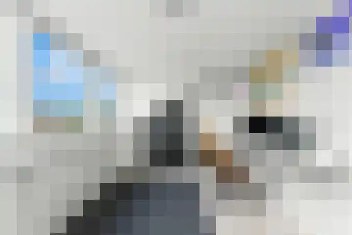 Wolfspoot 24 Alblasserdam thumbnail 37