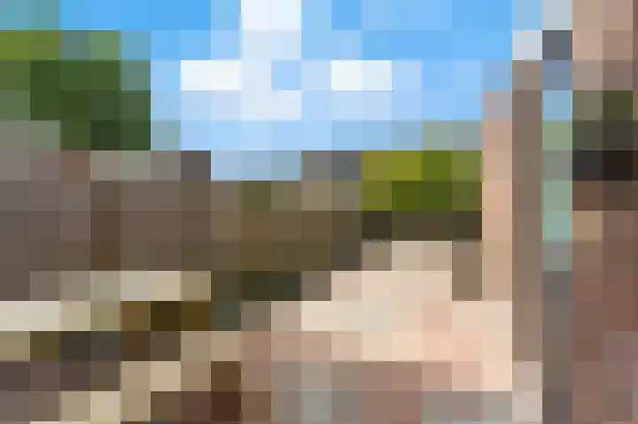 Wolfspoot 24 Alblasserdam thumbnail 38