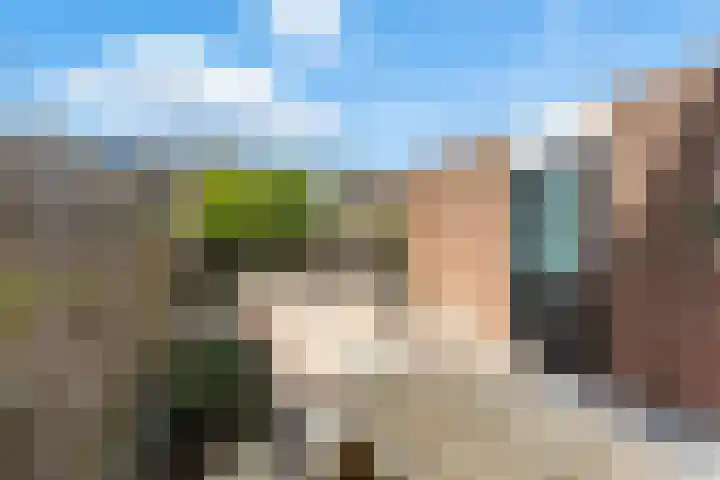 Wolfspoot 24 Alblasserdam thumbnail 39