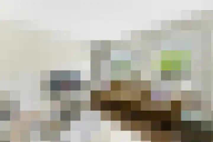 Wolfspoot 24 Alblasserdam thumbnail 4
