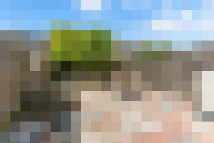 Wolfspoot 24 Alblasserdam thumbnail 40