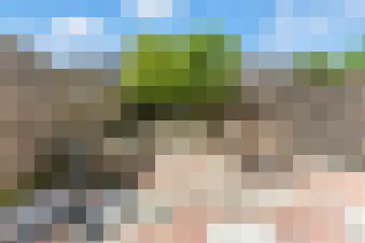 Wolfspoot 24 Alblasserdam thumbnail 41
