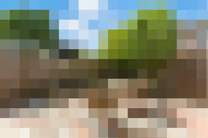 Wolfspoot 24 Alblasserdam thumbnail 42