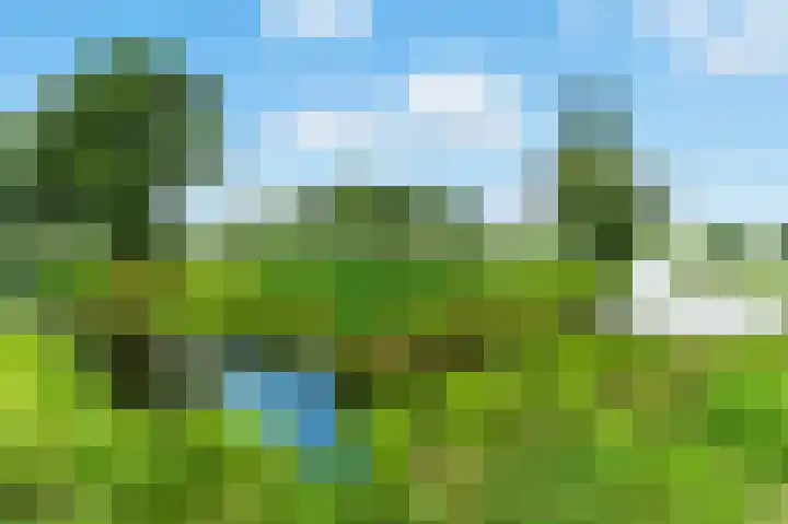 Wolfspoot 24 Alblasserdam thumbnail 47