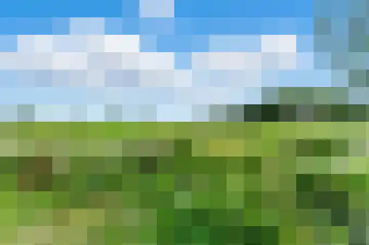 Wolfspoot 24 Alblasserdam thumbnail 48