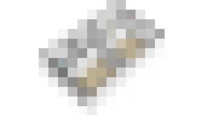Wolfspoot 24 Alblasserdam thumbnail 52