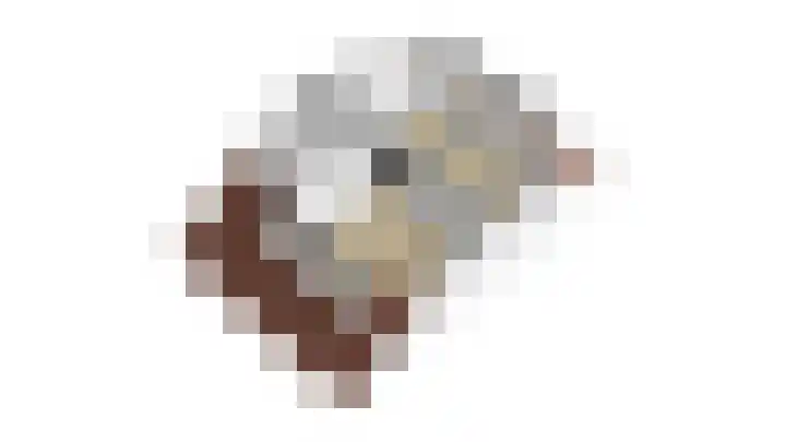 Wolfspoot 24 Alblasserdam thumbnail 54