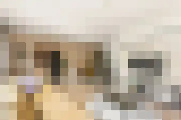 Wolfspoot 24 Alblasserdam thumbnail 6