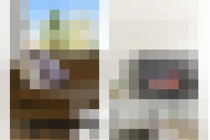 Wolfspoot 24 Alblasserdam thumbnail 7
