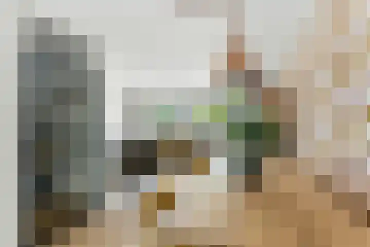 Wolfspoot 24 Alblasserdam thumbnail 9