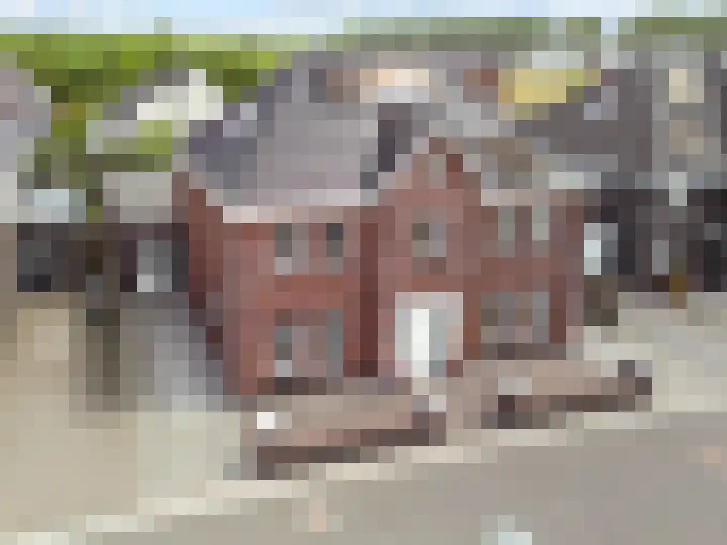Wolfspootstraat 10 Lelystad