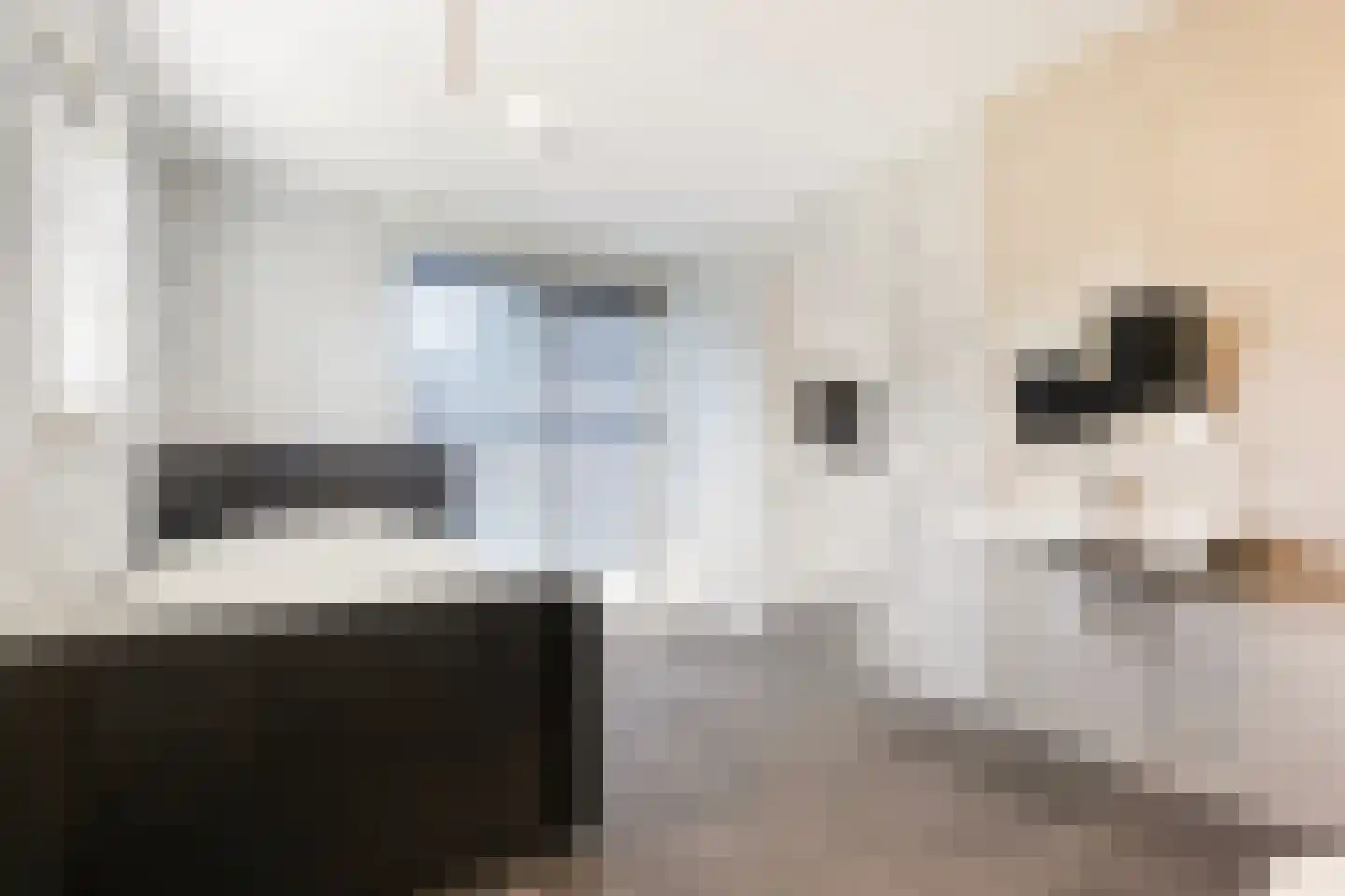 Wolfspootstraat 10 Lelystad thumbnail 36
