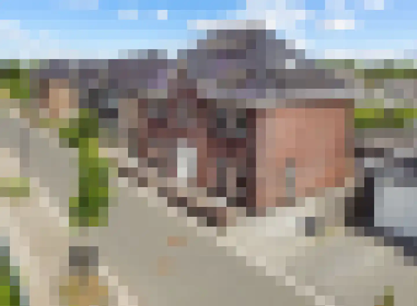 Wolfspootstraat 10 Lelystad thumbnail 63