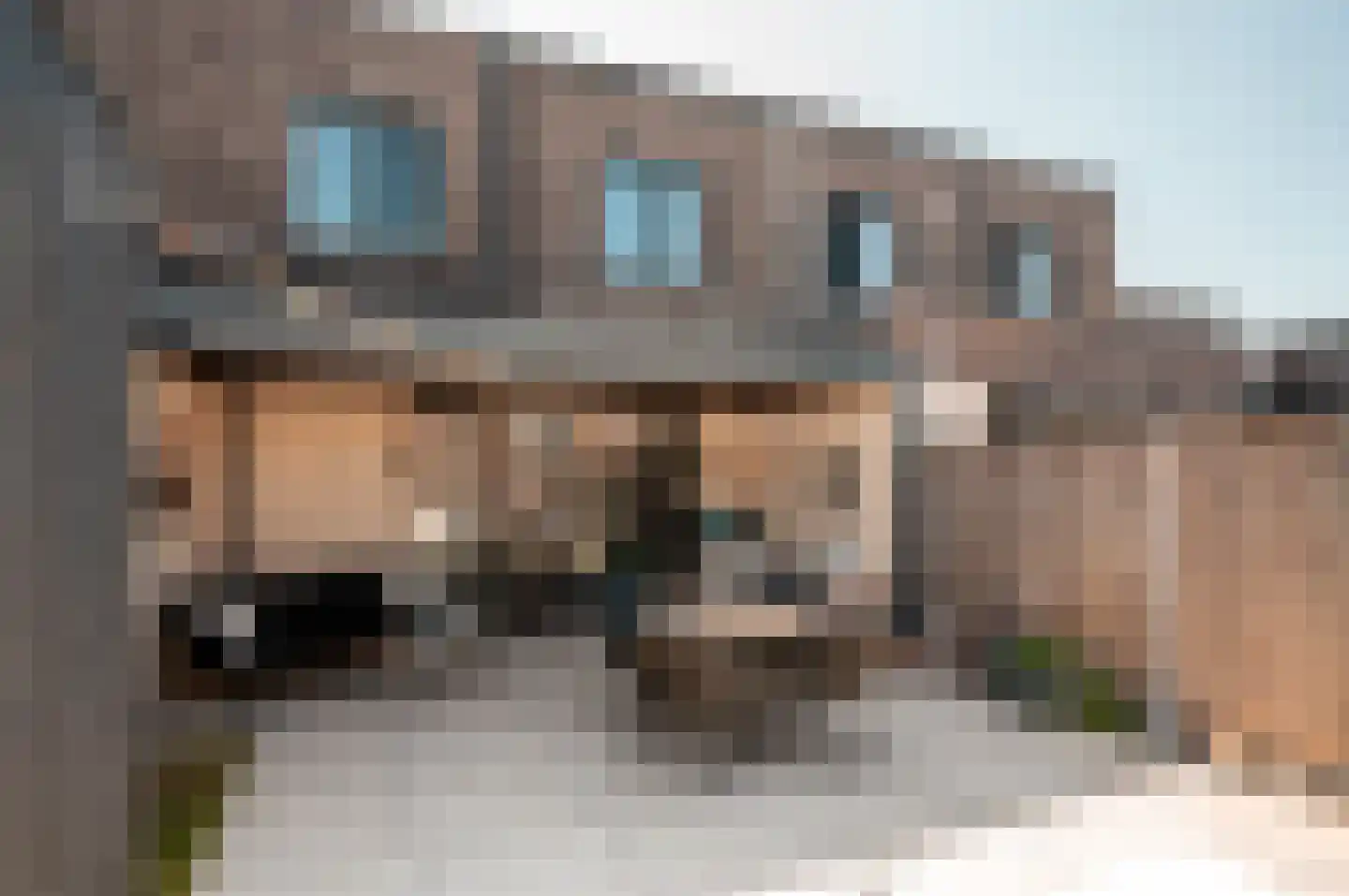 Wolfspootstraat 23 Lelystad thumbnail 30