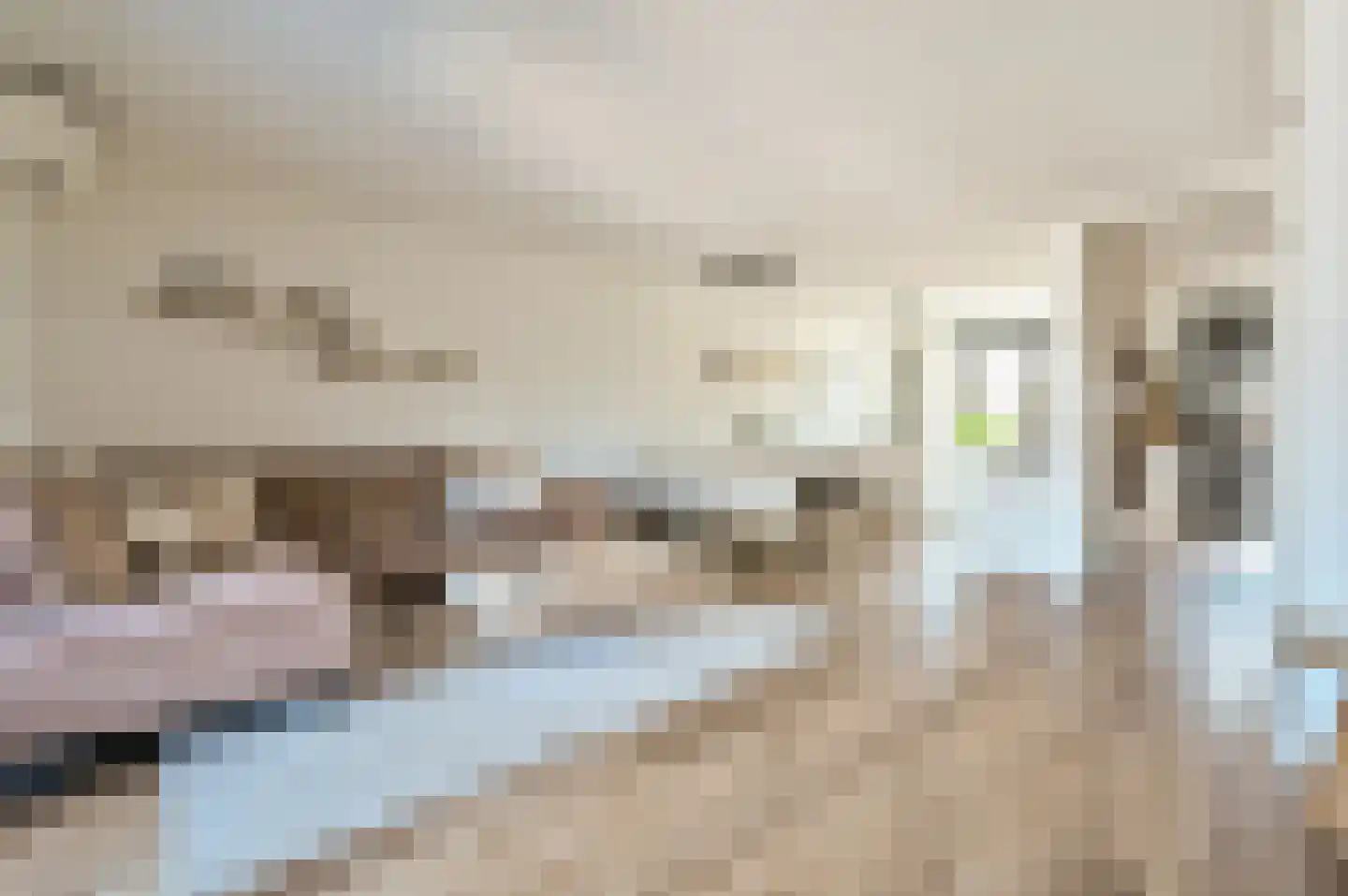 Wolfspootstraat 23 Lelystad thumbnail 4