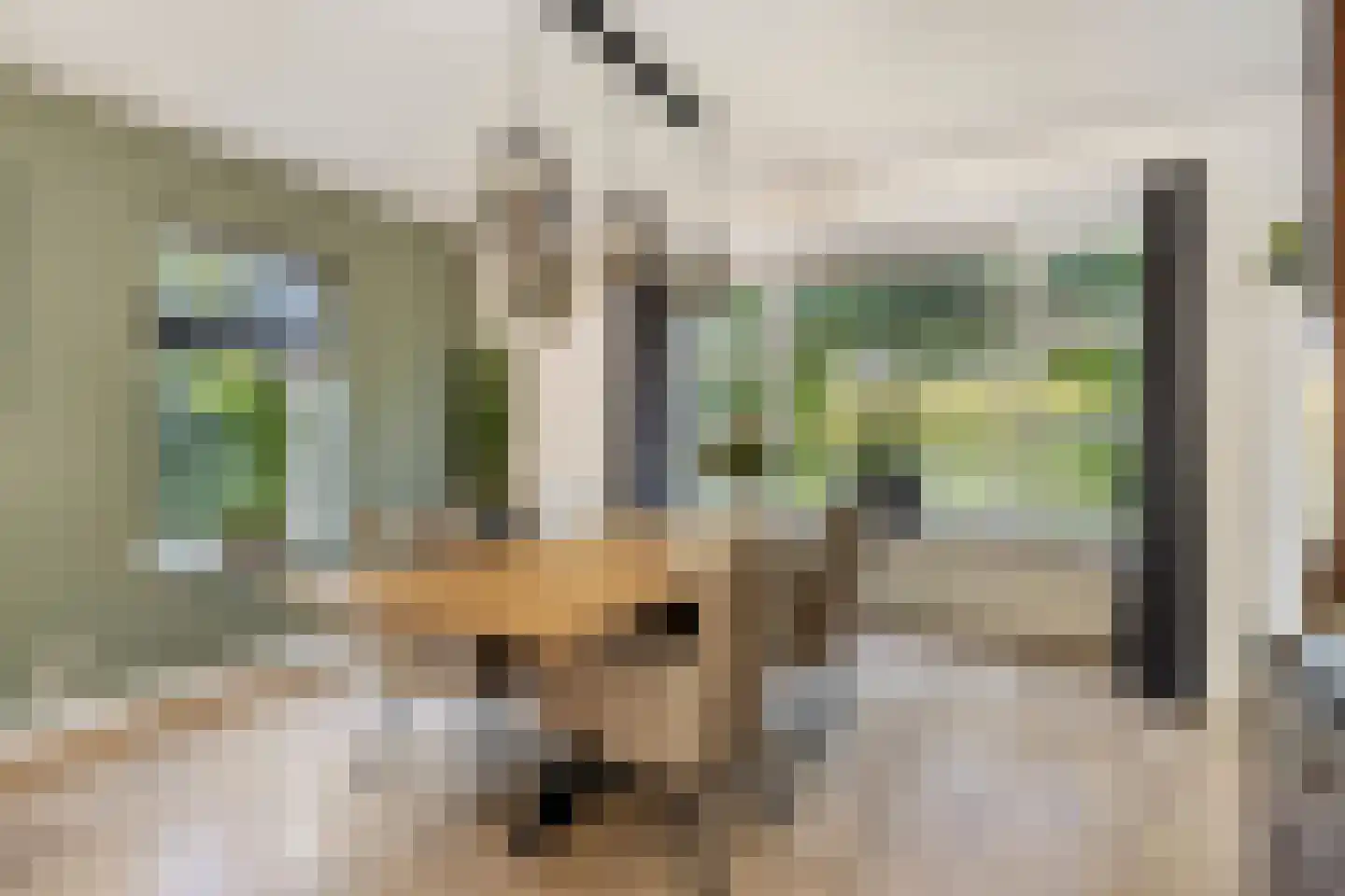 Wolfsputten 4 Prinsenbeek thumbnail 11