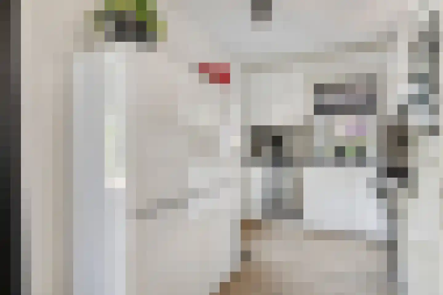 Wolfsputten 4 Prinsenbeek thumbnail 13