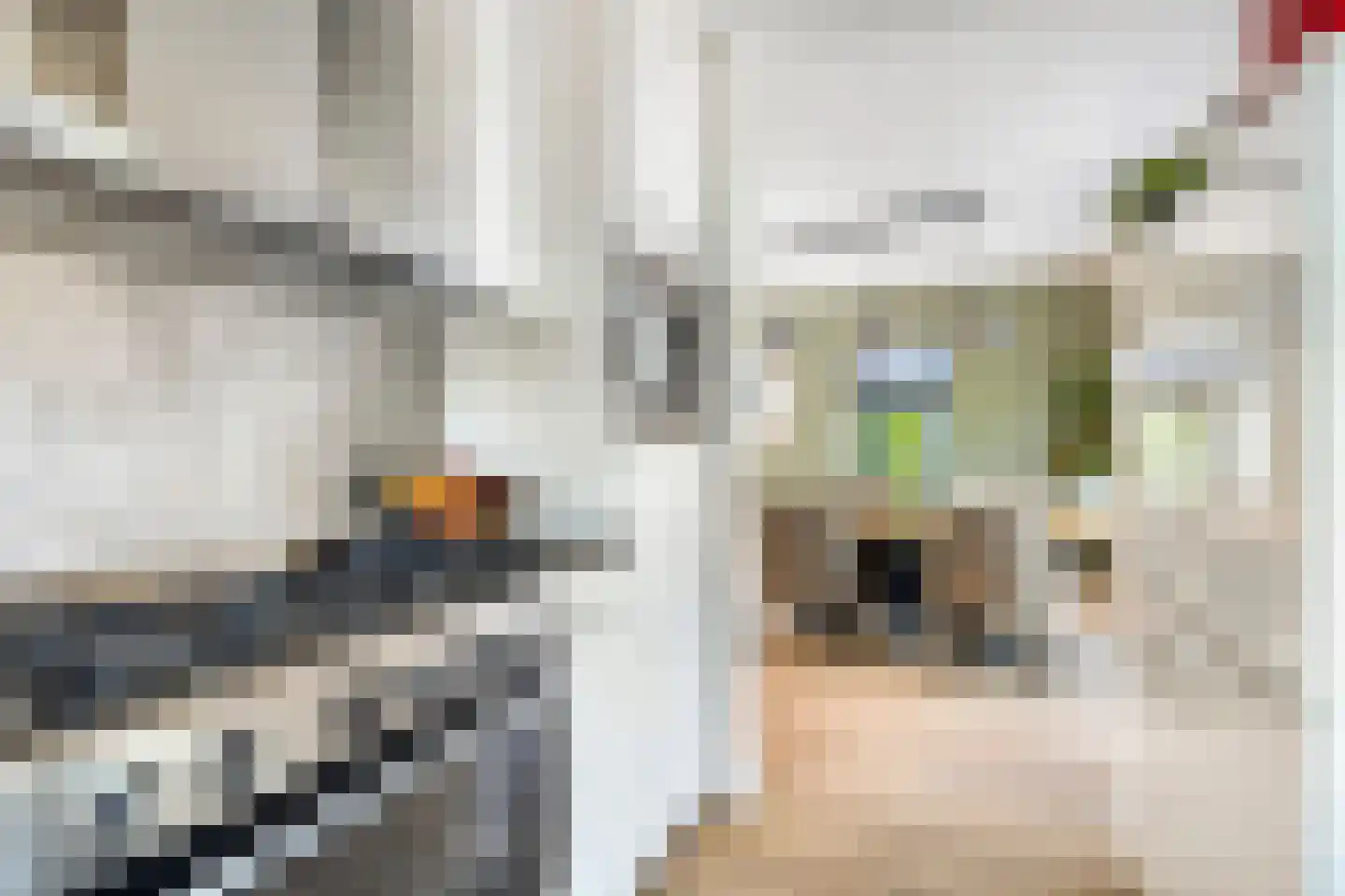 Wolfsputten 4 Prinsenbeek thumbnail 15