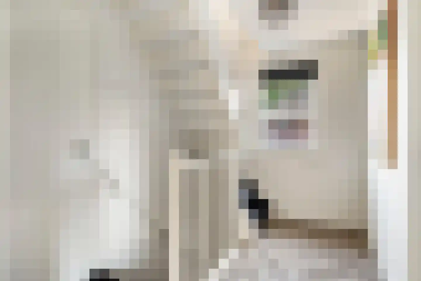 Wolfsputten 4 Prinsenbeek thumbnail 20