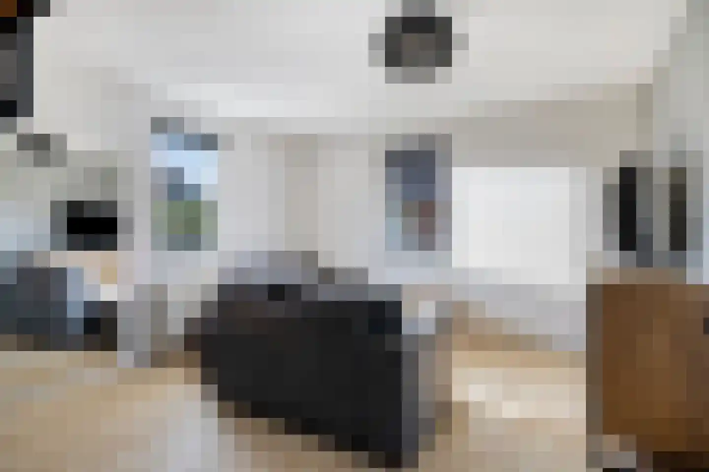 Wolfsputten 4 Prinsenbeek thumbnail 21