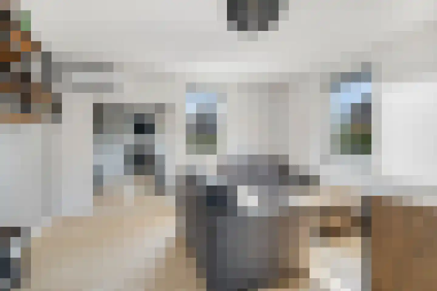 Wolfsputten 4 Prinsenbeek thumbnail 22
