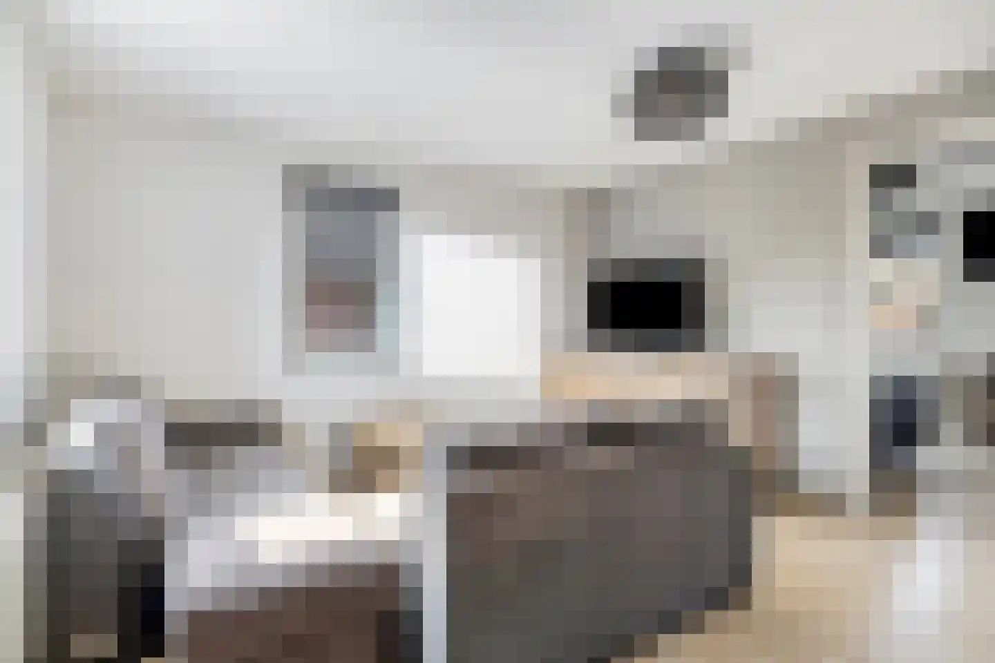 Wolfsputten 4 Prinsenbeek thumbnail 23