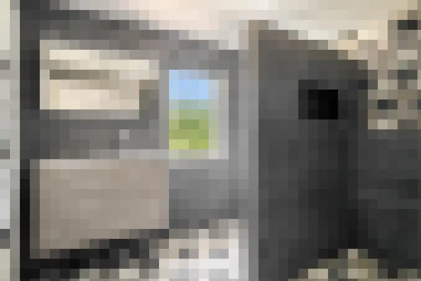 Wolfsputten 4 Prinsenbeek thumbnail 28