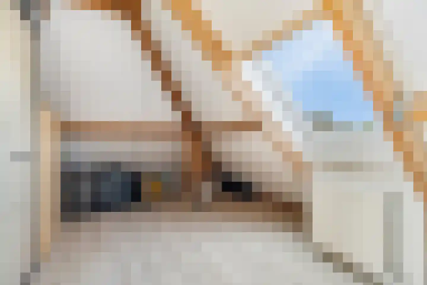 Wolfsputten 4 Prinsenbeek thumbnail 31