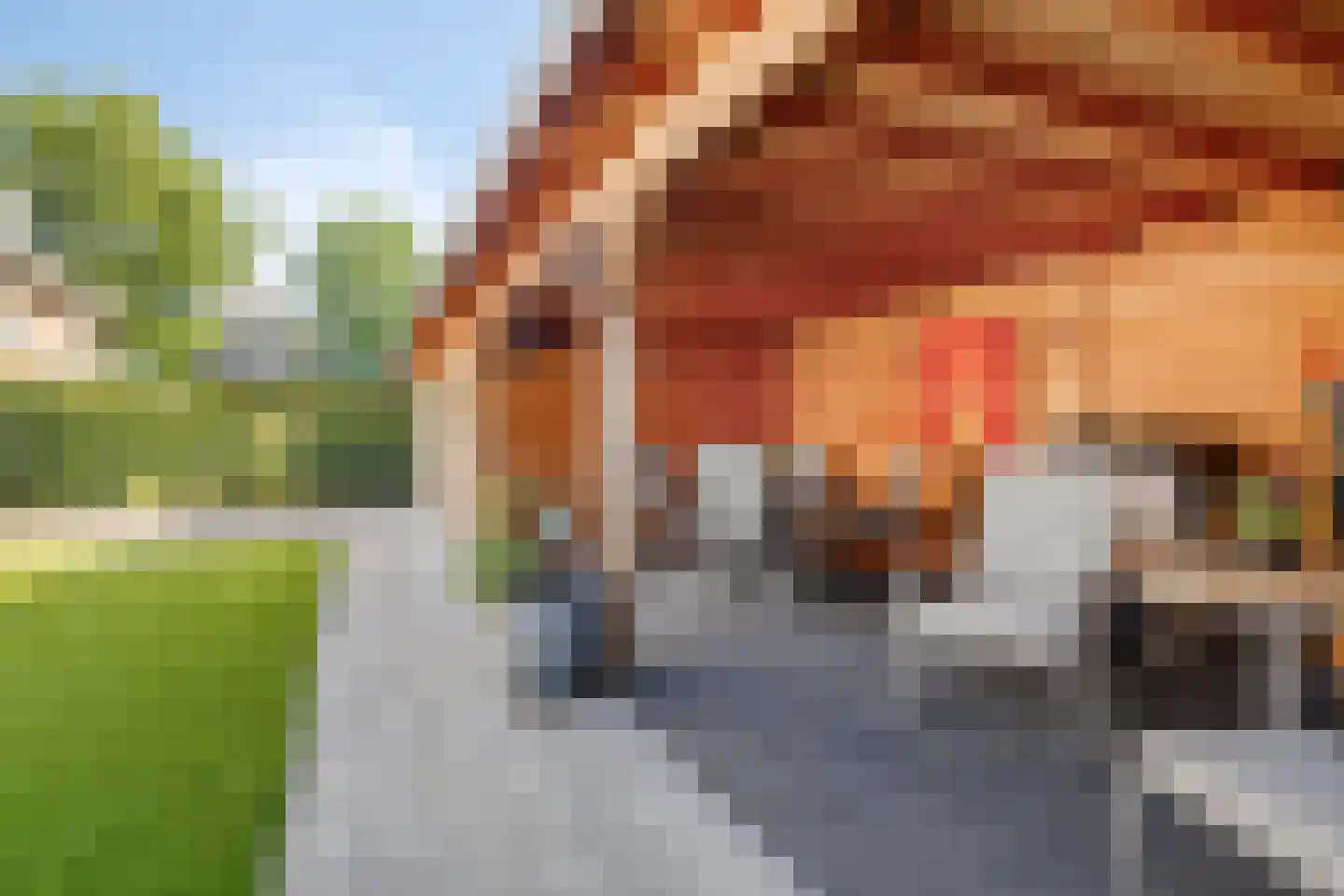 Wolfsputten 4 Prinsenbeek thumbnail 37