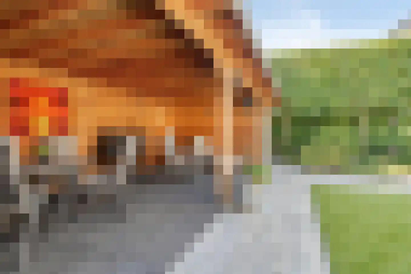 Wolfsputten 4 Prinsenbeek thumbnail 38