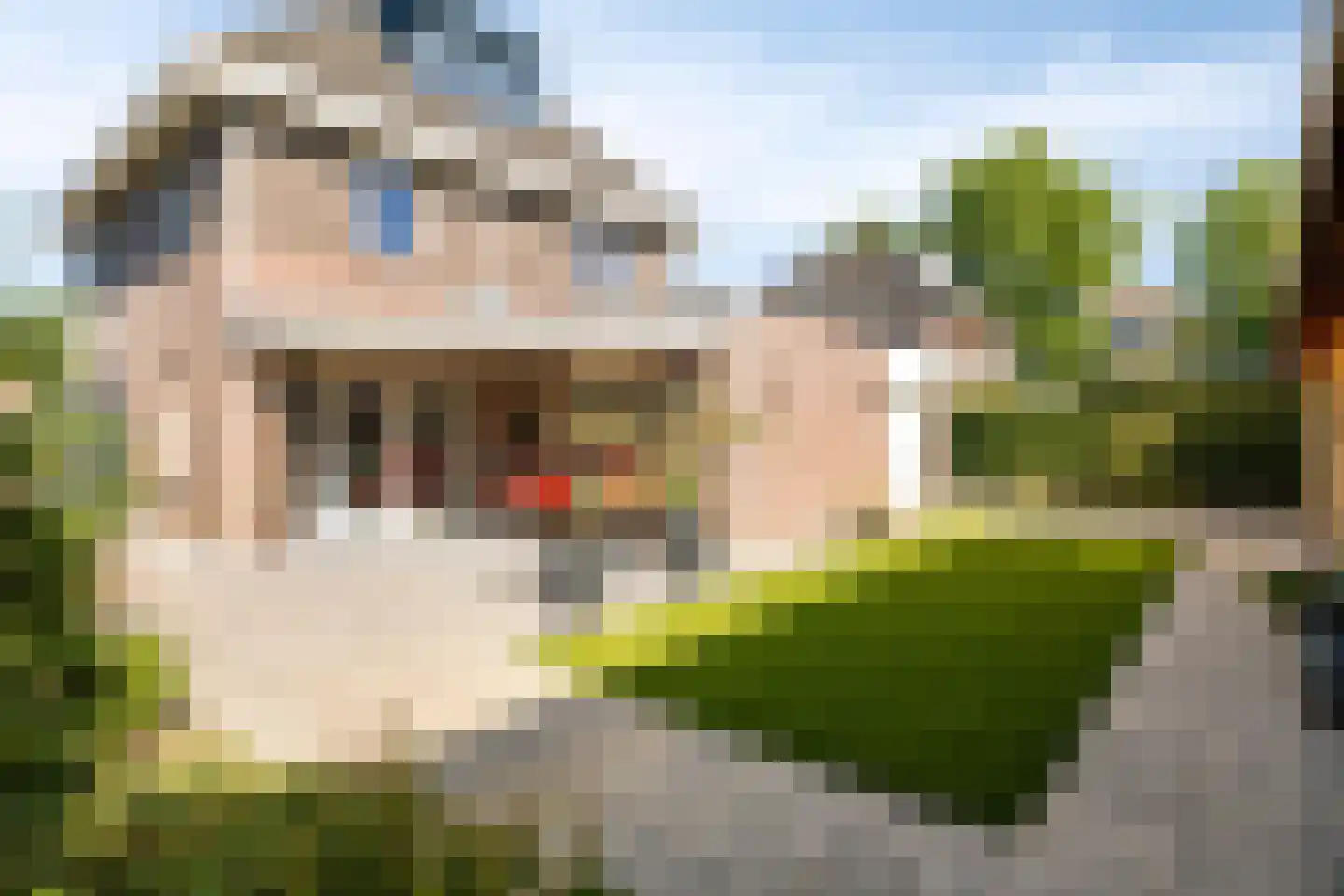 Wolfsputten 4 Prinsenbeek thumbnail 39