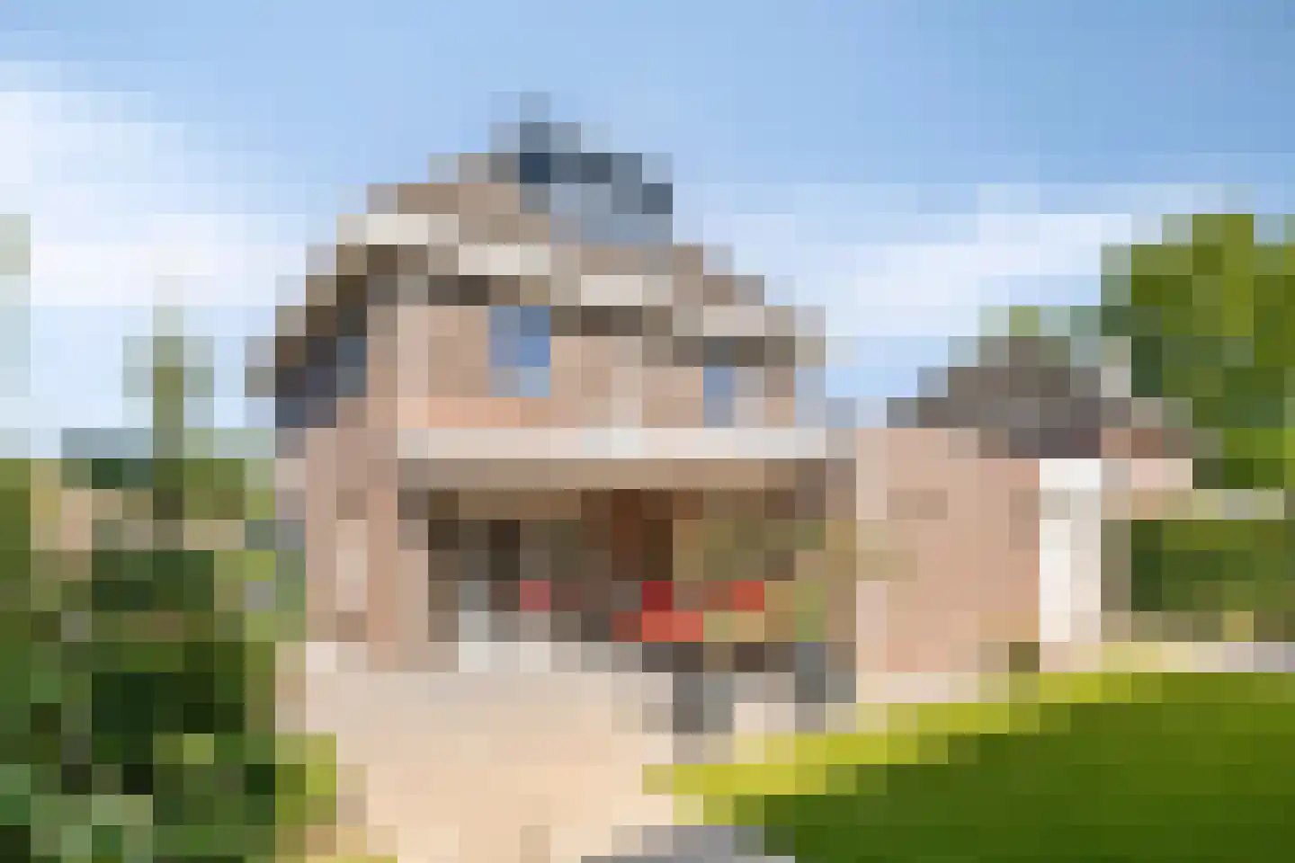 Wolfsputten 4 Prinsenbeek thumbnail 40