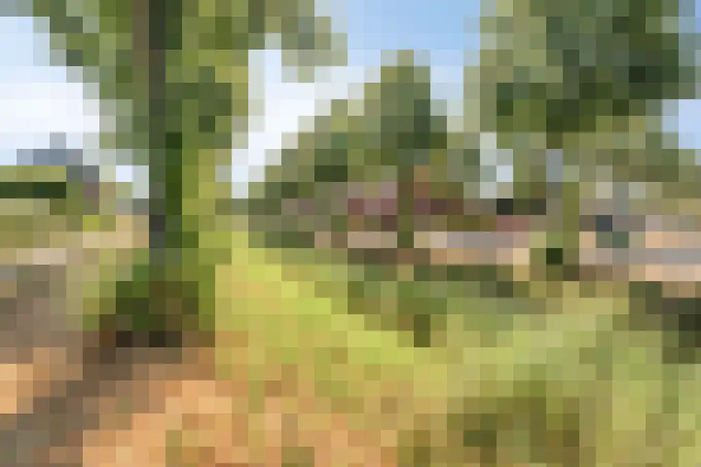 Wolfsputten 4 Prinsenbeek thumbnail 45